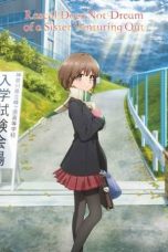 Seishun Buta Yarou wa Odekake Sister no Yume wo Minai (Rascal Does Not Dream of a Sister Venturing Out) (2023) Seishun Buta Yarou wa Odekake Sister no Yume wo Minai (Rascal Does Not Dream of a Sister Venturing Out) (2023)