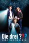 Nonton Film The Three Investigators and The Legacy of the Dragon (2023)