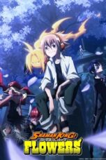 Shaman King: Flowers (2024)
