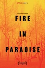 Nonton Film Fire in Paradise (2019)